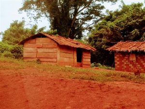 Construction of House